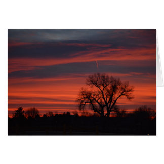 Sunrise bij het meer van Harper