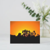 Sunrise Briefkaart (Staand voorkant)