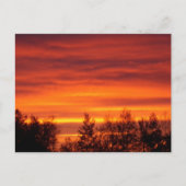 Sunrise d'été dans le nord du MN Carte postale (Devant)