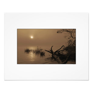 Sunrise door Fog op Winyah Bay Foto Afdruk