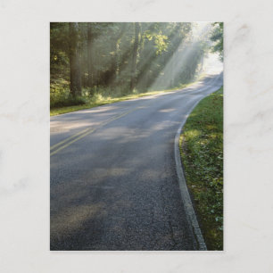 Sunrise door mist langs groene rivier briefkaart