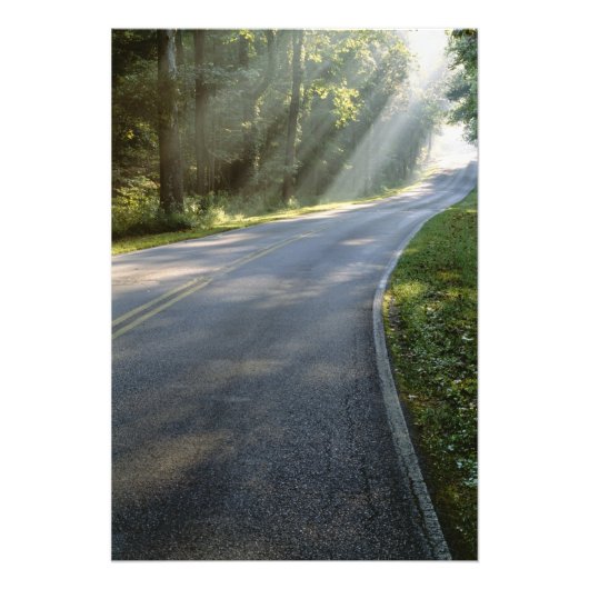 Sunrise door mist langs groene rivier foto afdruk (Voorkant)