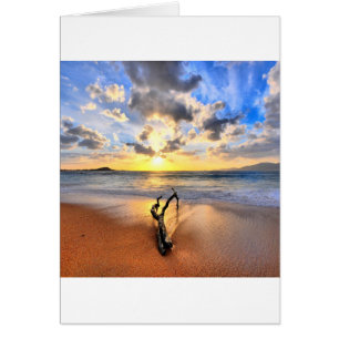 Sunrise Driftwood Beach