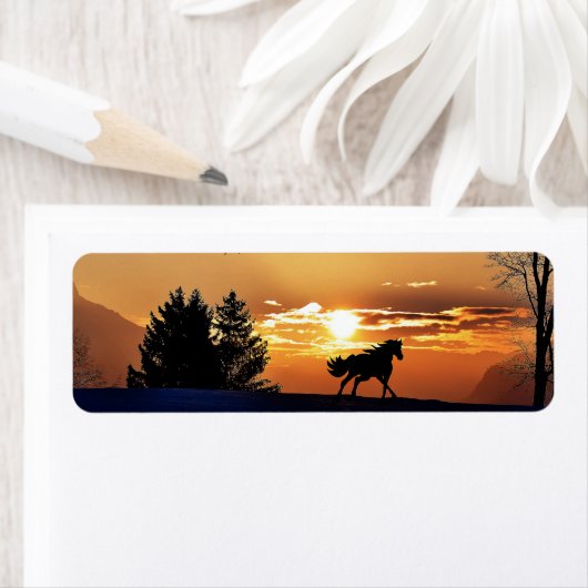 Sunrise Etiket (Insitu)