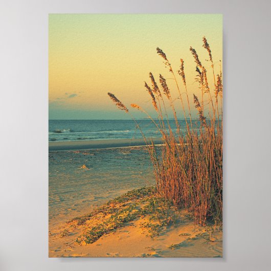 Sunrise Florida Beach Grass Poster Print (Voorkant)