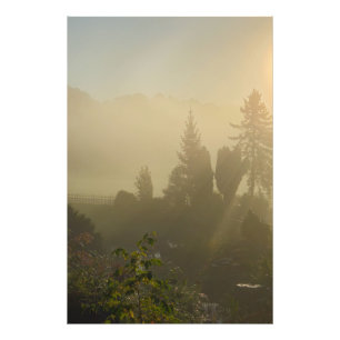 Sunrise Foto Afdruk