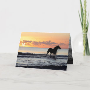 Sunrise Horse in het Water Horse Wenskaart Kaart
