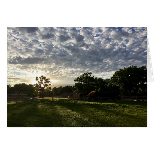 Sunrise in de North Valley, Albuquerque, NM (Voorkant Horizontaal)