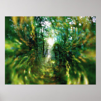 Sunrise in het bos 2 poster