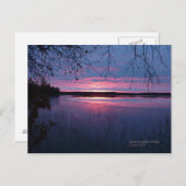 Sunrise in Lapland Briefkaart (Voorkant / Achterkant)