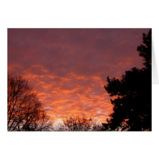 Sunrise - januari 2003