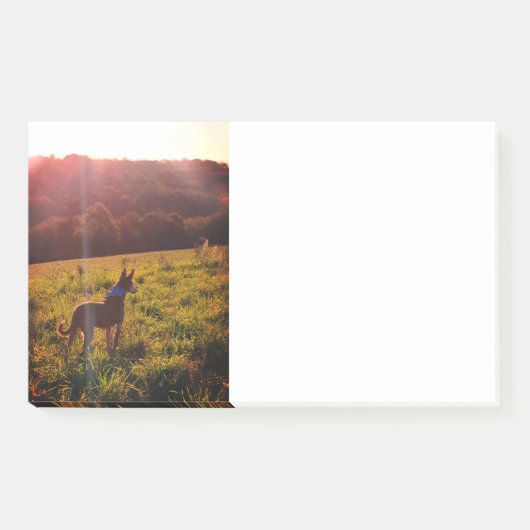 Sunrise Landschap met Dog Post-it® Notes (Voorkant)