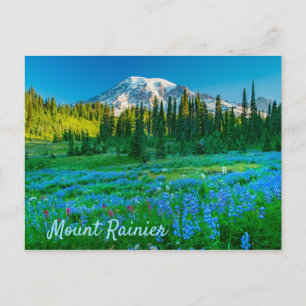 Sunrise Lupine en Mount Rainer Briefkaart