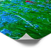 Sunrise Lupine en Mount Rainer Poster (Hoek)