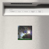 Sunrise Magneet (Insitu (Vaatwasser))