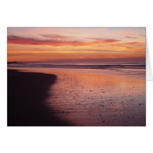 Sunrise Morning