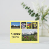 Sunrise (Mount Rainier) Collage 2 Briefkaart (Staand voorkant)