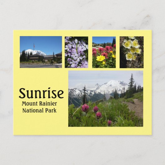 Sunrise (Mount Rainier) Collage 2 Briefkaart (Voorkant)
