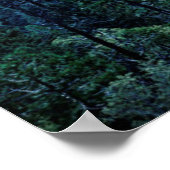 Sunrise | Nationaal park Yosemite Poster (Hoek)