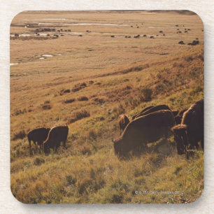 Sunrise On Bison Bier Onderzetter
