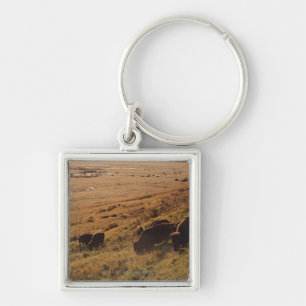 Sunrise On Bison Sleutelhanger