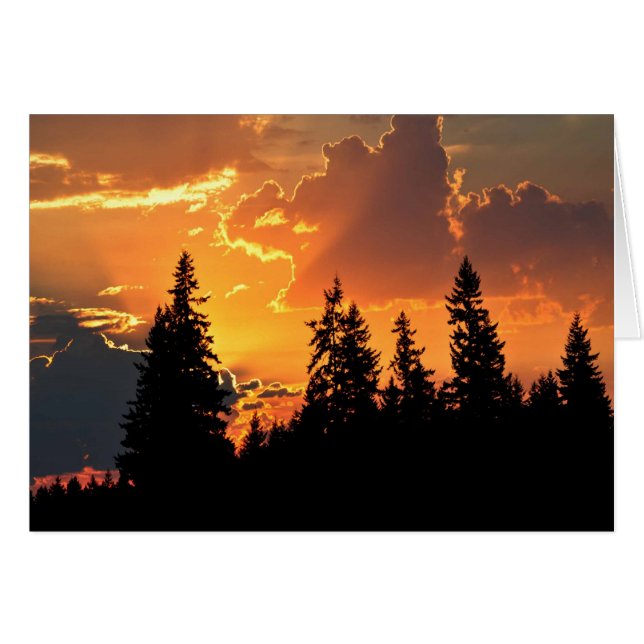 Sunrise Over Douglas Fir Trees (Voorkant Horizontaal)