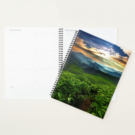 Sunrise over het Boerderij van Tea Planner (Display)