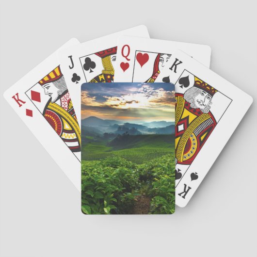 Sunrise over het Boerderij van Tea Pokerkaarten (Achterkant)