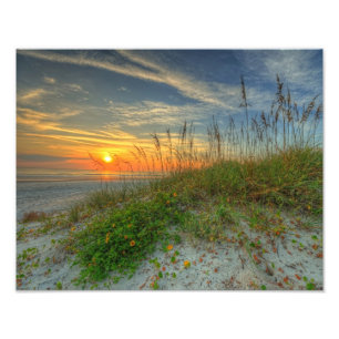 Sunrise Over Sand Dunes in Daytona Beach, FL Foto Afdruk