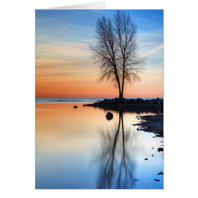 Sunrise Palette (Voorkant)