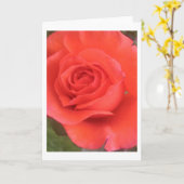 Sunrise Peach Rose Flower Grey ou cartes de notes (Fleur jaune)