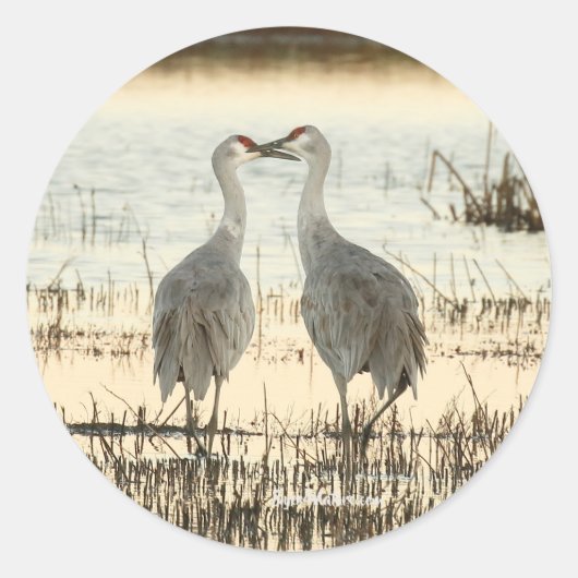Sunrise Sandhill Crane pair Ronde Sticker (Voorkant)