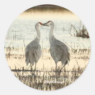 Sunrise Sandhill Crane pair Ronde Sticker