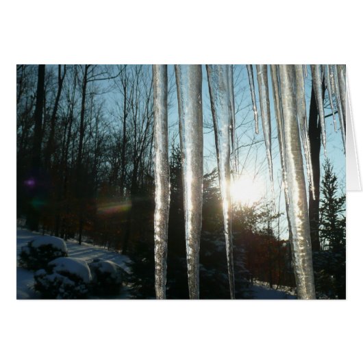 Sunrise Through Icicles Winter Natuur Fotografie (Voorkant Horizontaal)