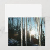 Sunrise Through Icicles Winter Natuur Fotografie (Voorkant / Achterkant)