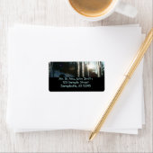 Sunrise Through Icicles Winter Natuur Fotografie Etiket (Insitu)