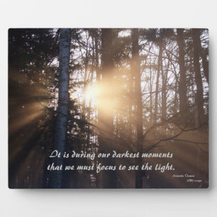 Sunrise voorbij de "Trees Plaque" Fotoplaat