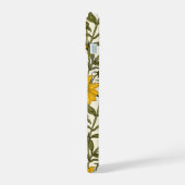 Sunroot, tournesol sauvage sur blanc (Côté gauche)