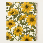 Sunroot, tournesol sauvage sur blanc (Dos)