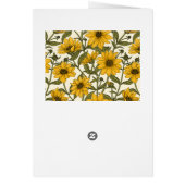 Sunroot, tournesol sauvage sur blanc (Dos)