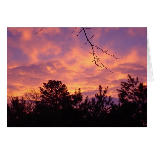 Sunset (Voorkant Horizontaal)