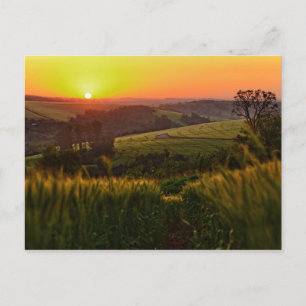 Sunset Agriculture Wheat Briefkaart