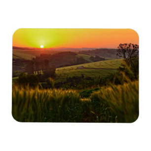 Sunset Agriculture Wheat Magneet