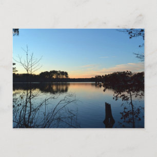 Sunset 'Almost Gone' van Shirley Taylor Briefkaart