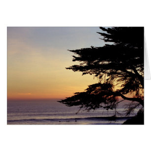 Sunset and Tree, Santa Cruz (kaart)