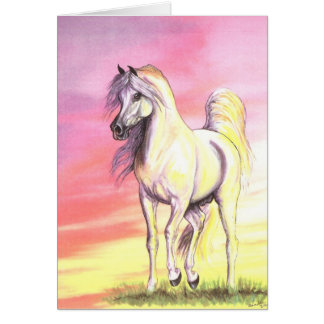 Sunset Arabian Horse