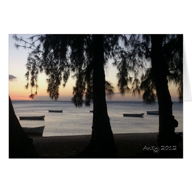 Sunset at Albion (Voorkant Horizontaal)