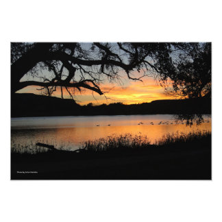 Sunset at Lake Scott State Park Foto Afdruk