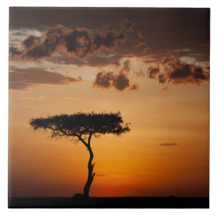 Sunset at Masai Mara Tegeltje
