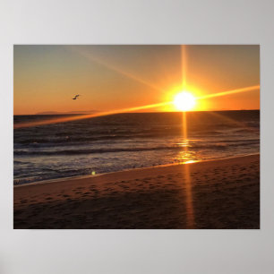 Sunset at Newport Beach, Californië Poster